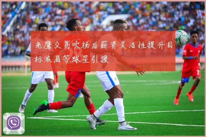 老鹰交易吹杨后薪资灵活性提升目标浓眉等球星引援