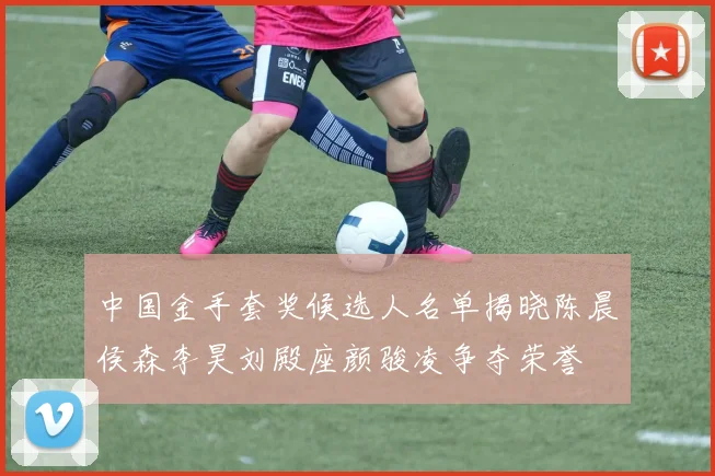 中国金手套奖候选人名单揭晓陈晨侯森李昊刘殿座颜骏凌争夺荣誉