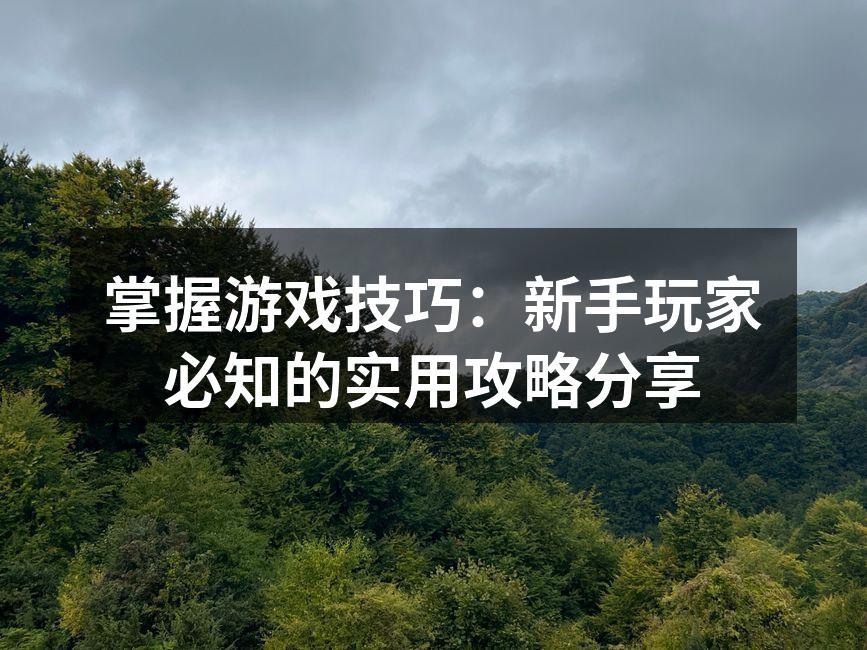 新手玩家的游戏技巧分享